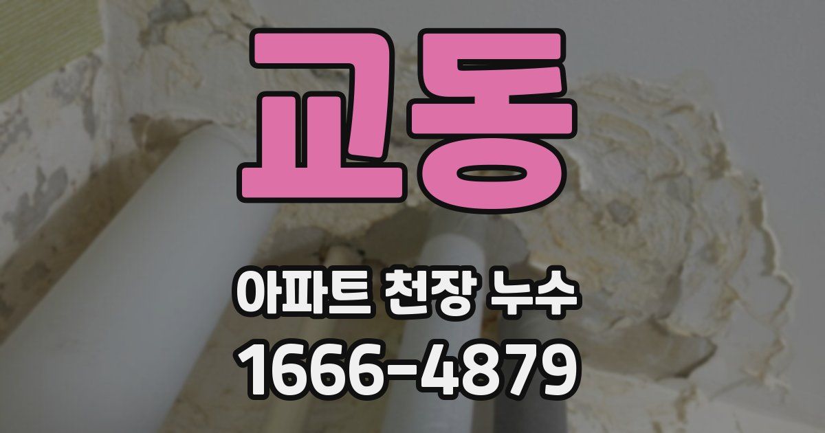교동 아파트 천장 누수
