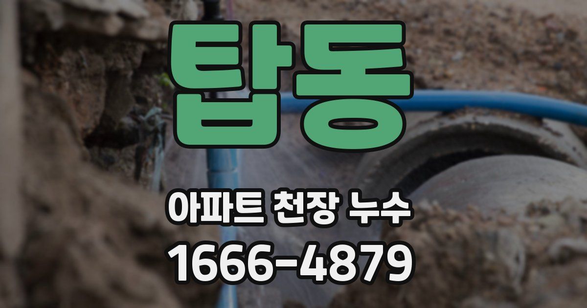 탑동 아파트 천장 누수