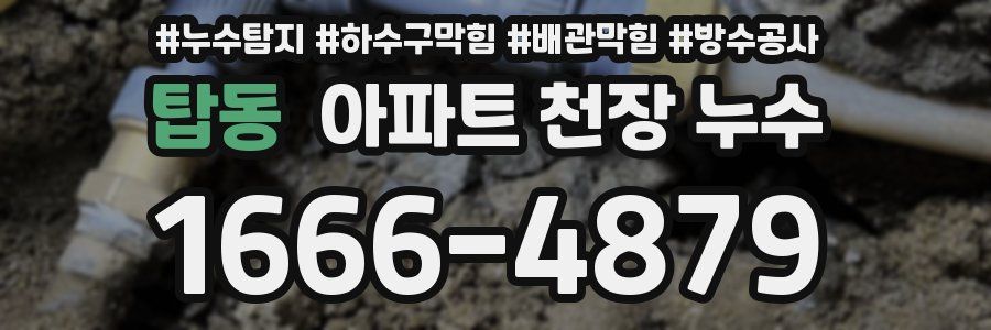 탑동 아파트 천장 누수