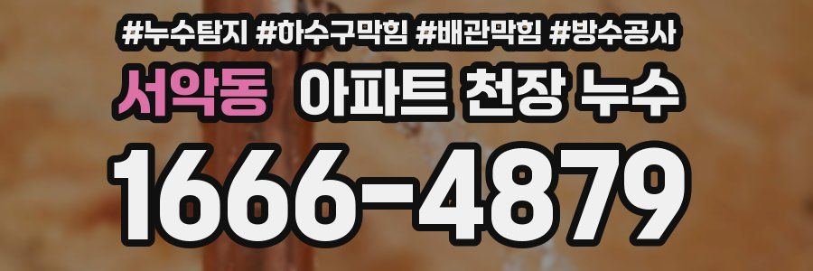 서악동 아파트 천장 누수