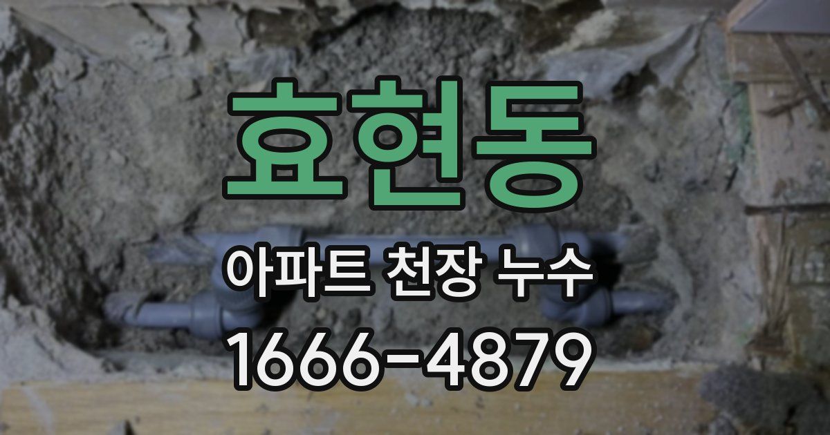 효현동 아파트 천장 누수