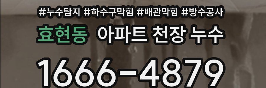 효현동 아파트 천장 누수