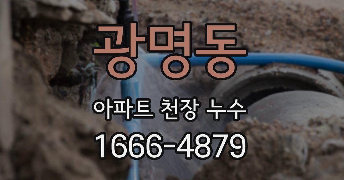 광명동 아파트 천장 누수