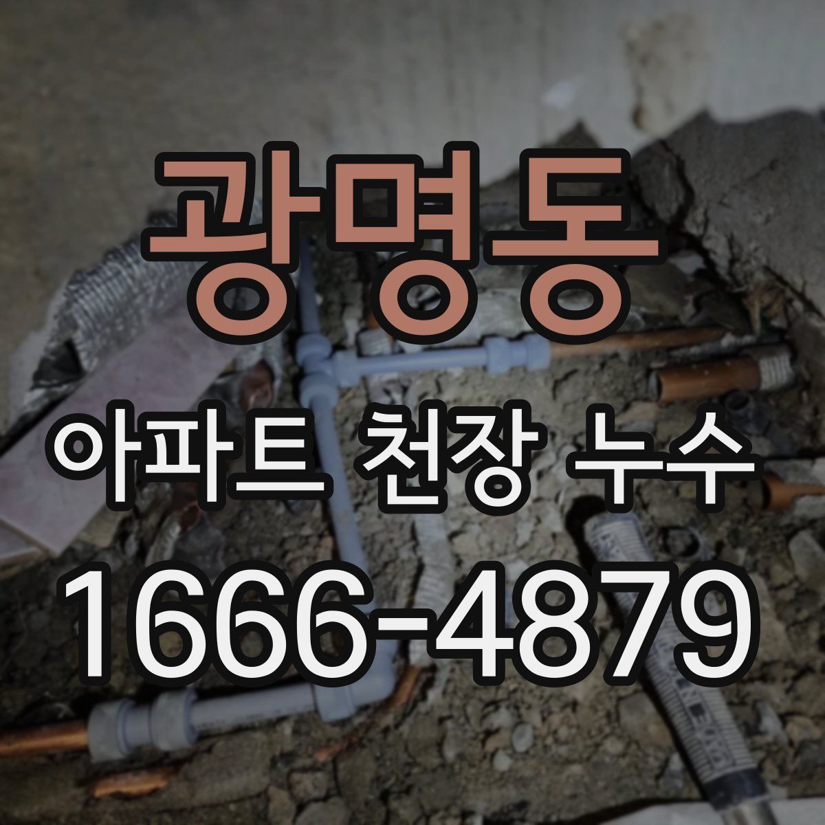 광명동 아파트 천장 누수