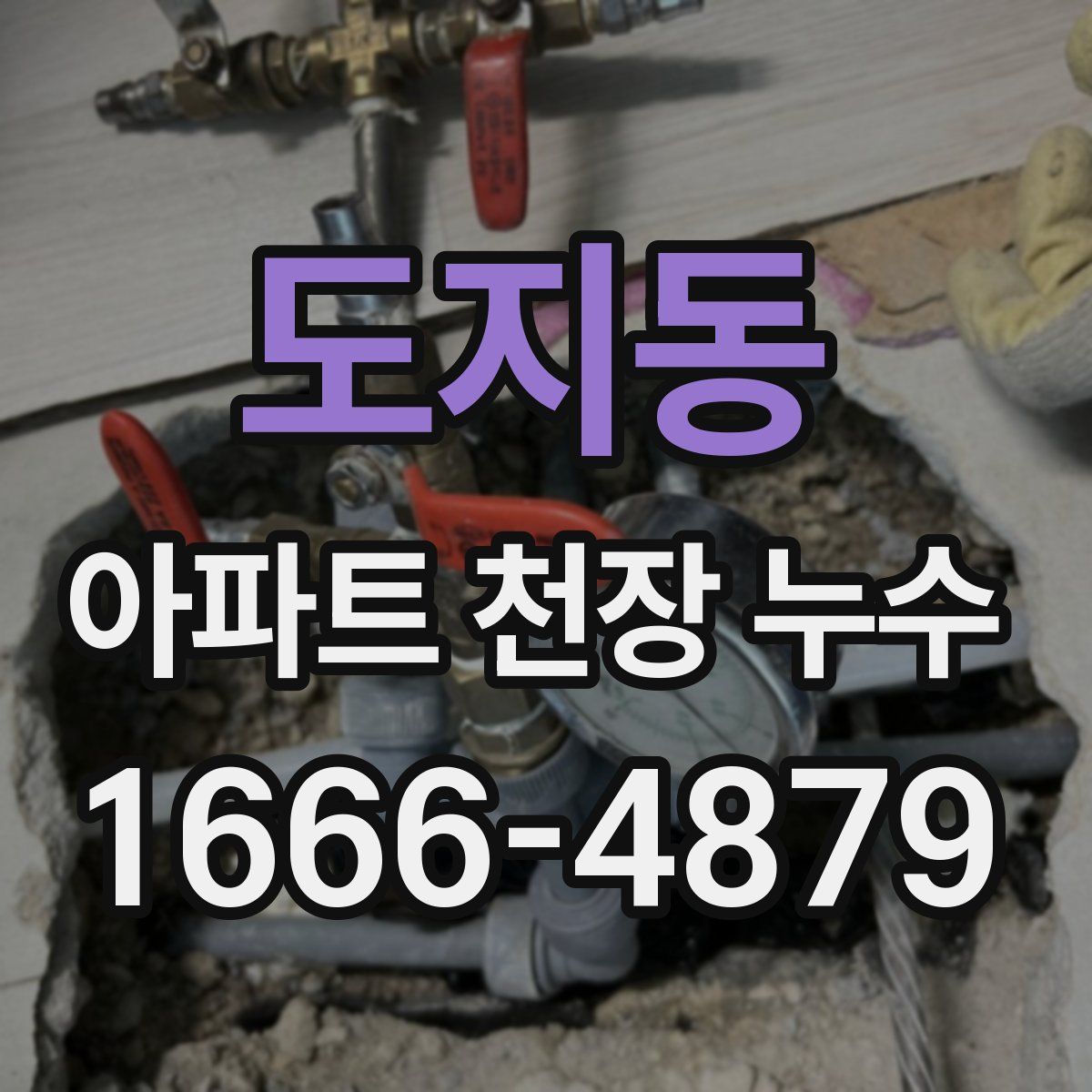 도지동 아파트 천장 누수