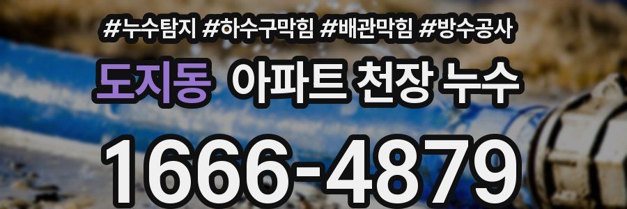 도지동 아파트 천장 누수