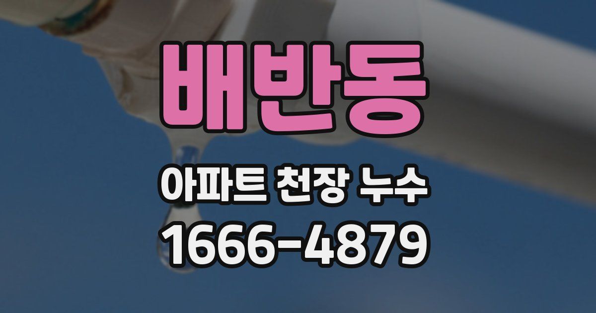 배반동 아파트 천장 누수
