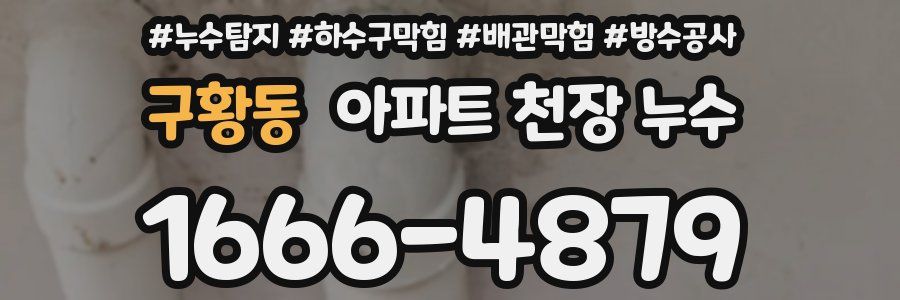 구황동 아파트 천장 누수