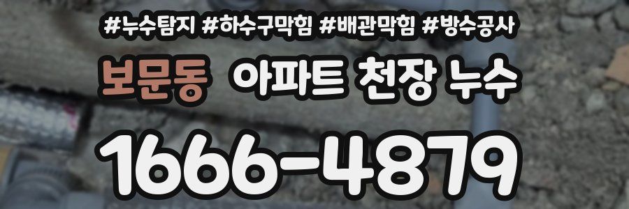 보문동 아파트 천장 누수
