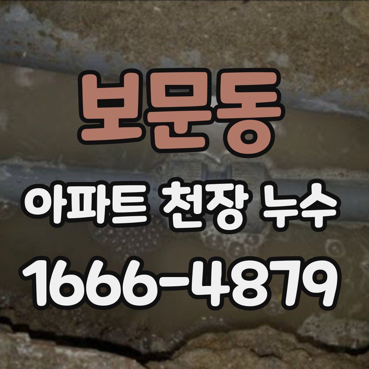 보문동 아파트 천장 누수