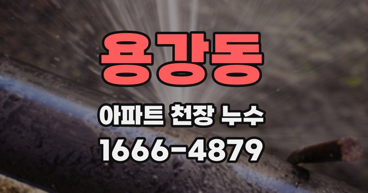 용강동 아파트 천장 누수