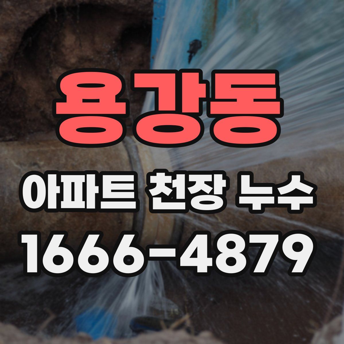 용강동 아파트 천장 누수