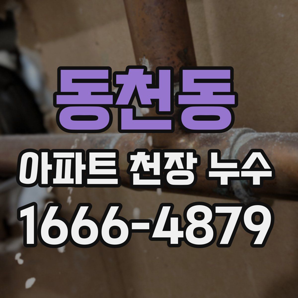 동천동 아파트 천장 누수