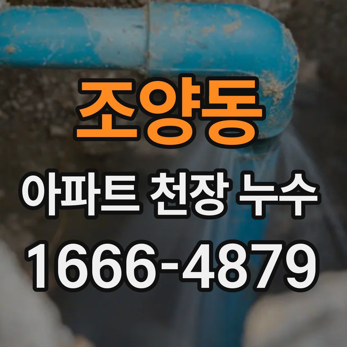 조양동 아파트 천장 누수