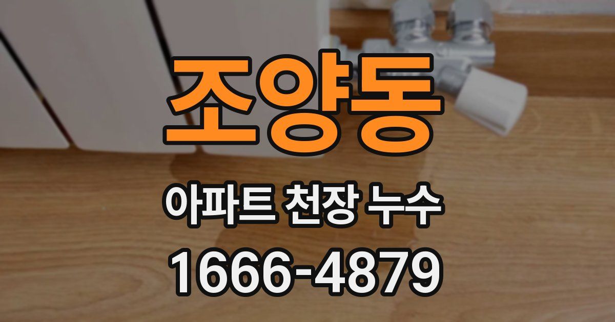조양동 아파트 천장 누수