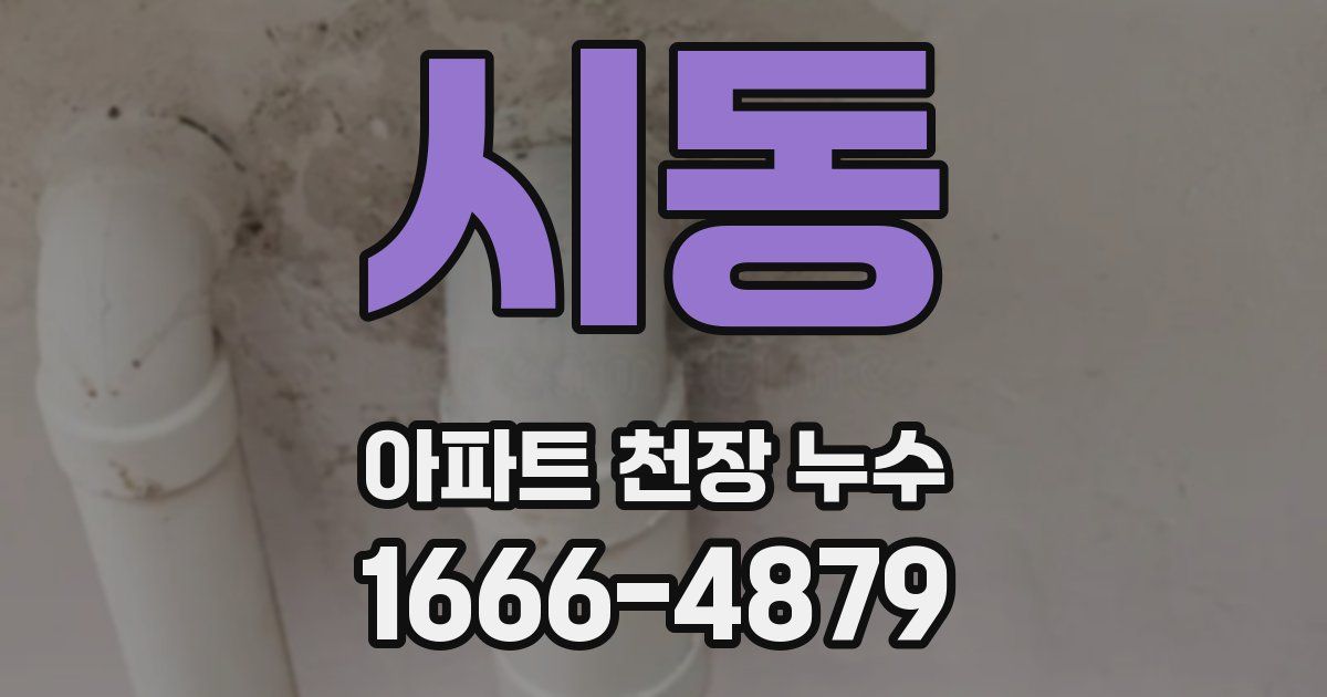 시동 아파트 천장 누수