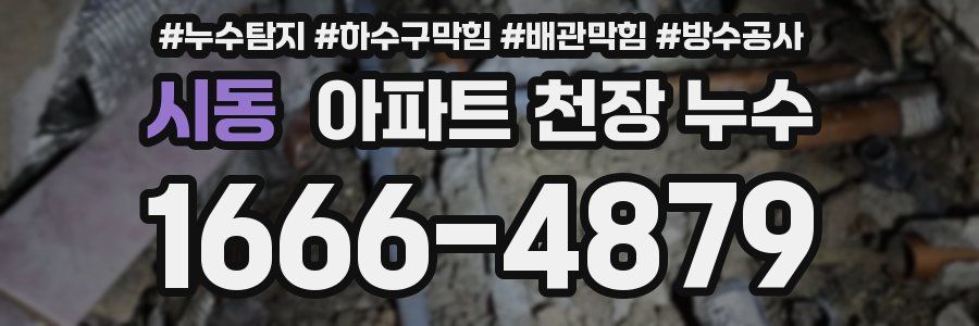 시동 아파트 천장 누수