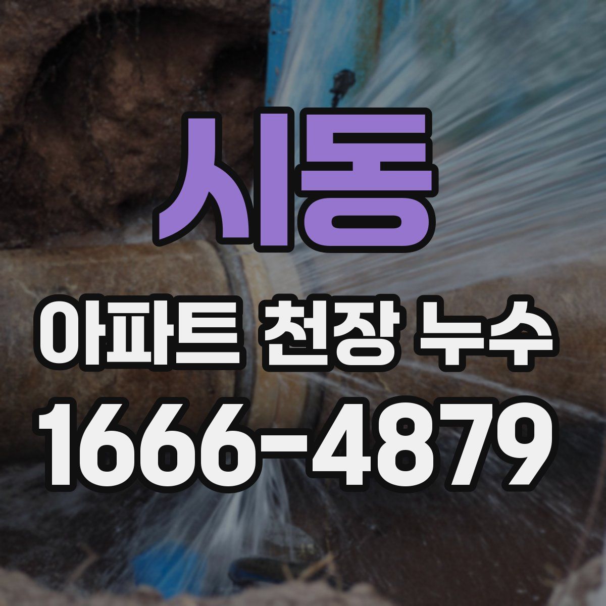 시동 아파트 천장 누수