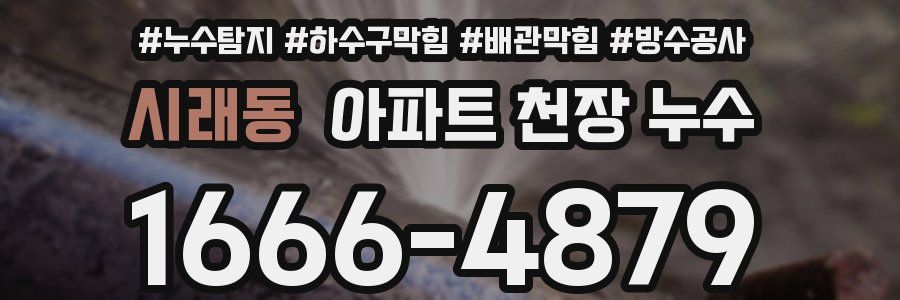시래동 아파트 천장 누수