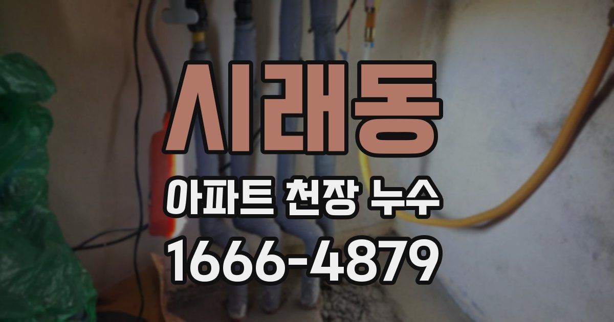 시래동 아파트 천장 누수