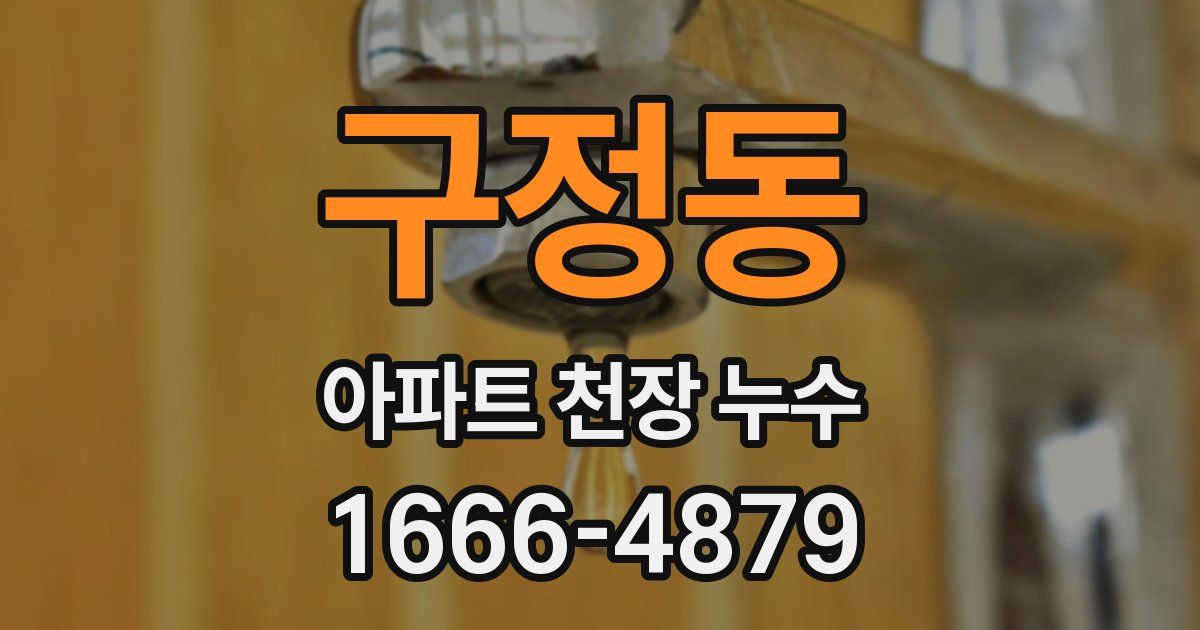 구정동 아파트 천장 누수