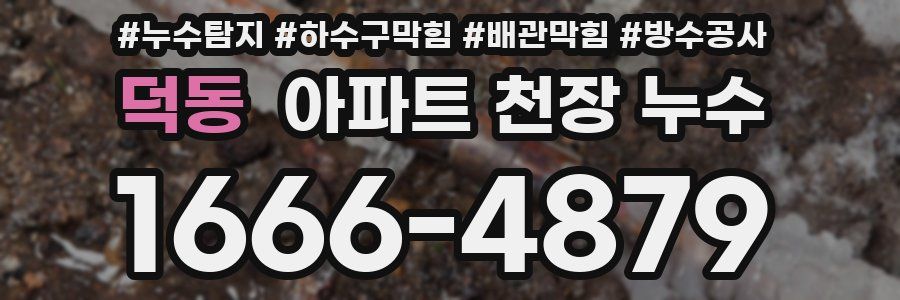 덕동 아파트 천장 누수