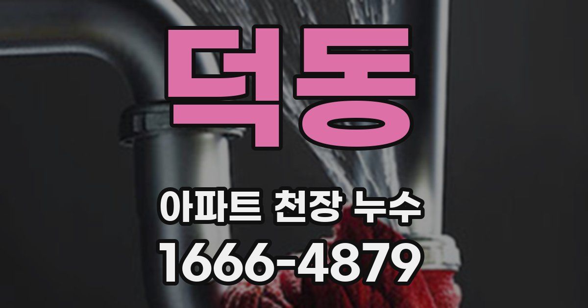 덕동 아파트 천장 누수