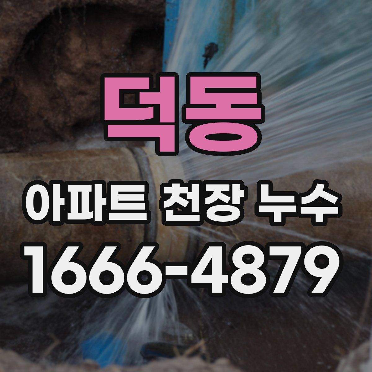 덕동 아파트 천장 누수