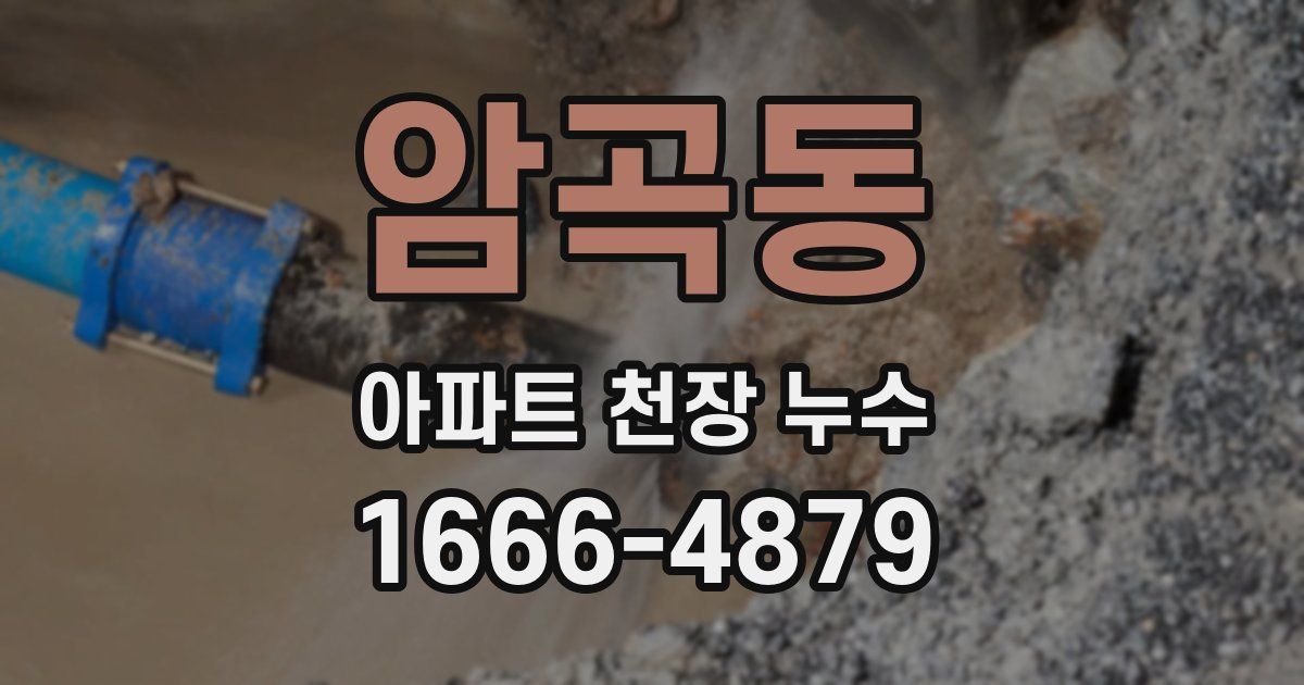 암곡동 아파트 천장 누수