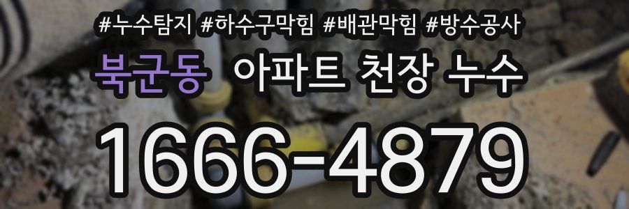 북군동 아파트 천장 누수