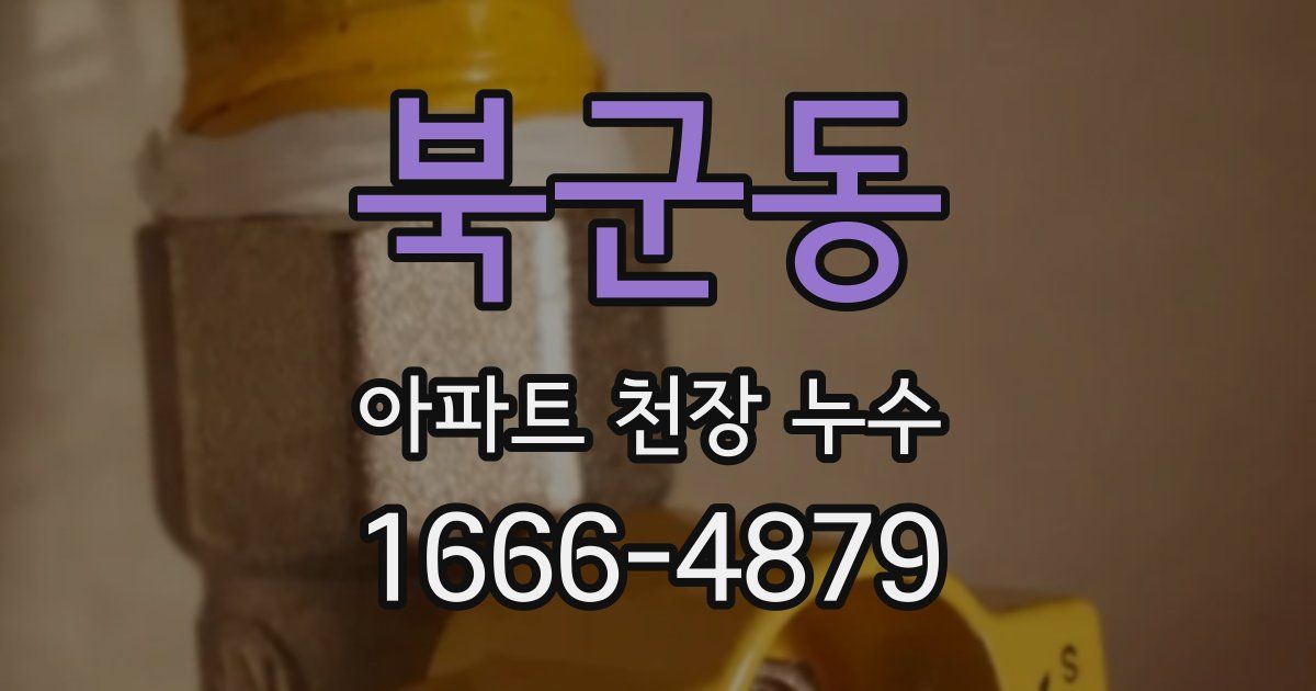 북군동 아파트 천장 누수