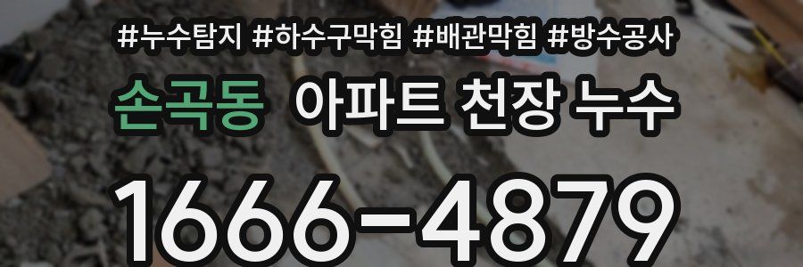 손곡동 아파트 천장 누수