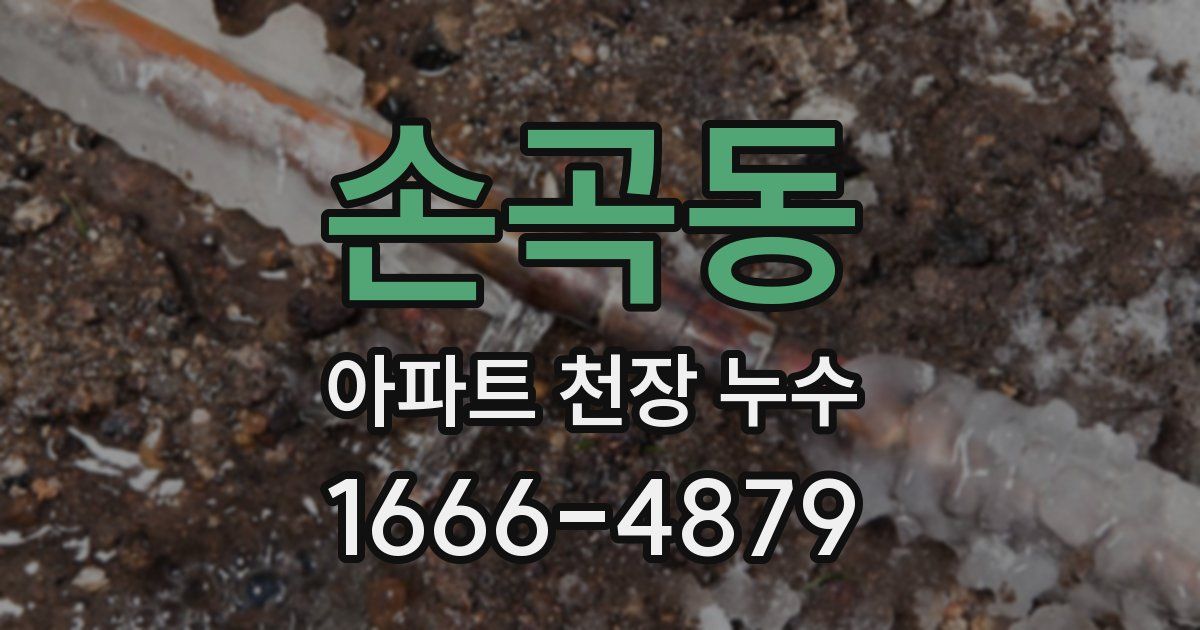 손곡동 아파트 천장 누수