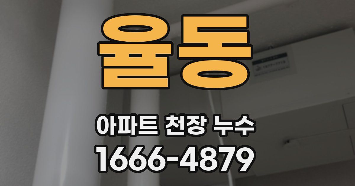 율동 아파트 천장 누수