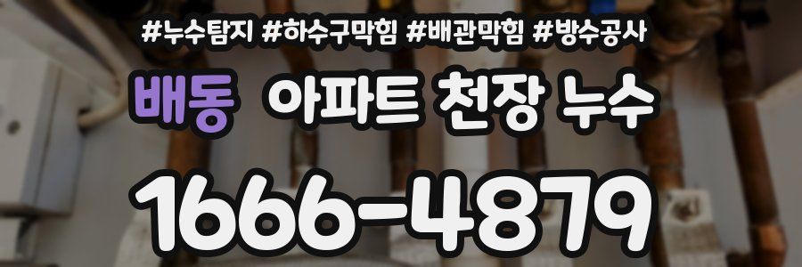 배동 아파트 천장 누수