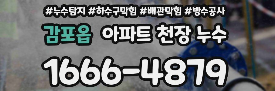 감포읍 아파트 천장 누수
