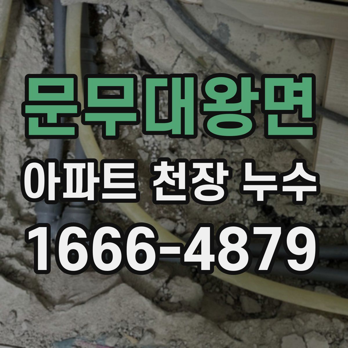 문무대왕면 아파트 천장 누수