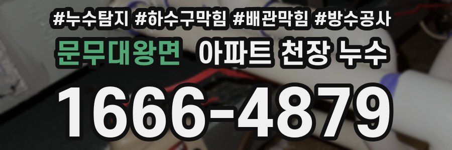 문무대왕면 아파트 천장 누수