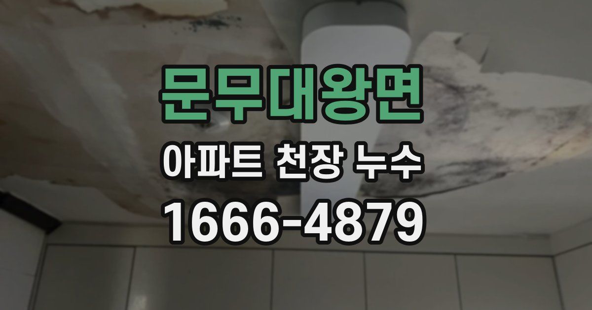 문무대왕면 아파트 천장 누수