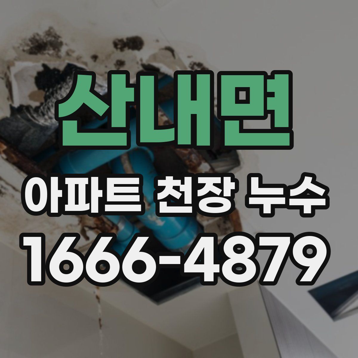 산내면 아파트 천장 누수