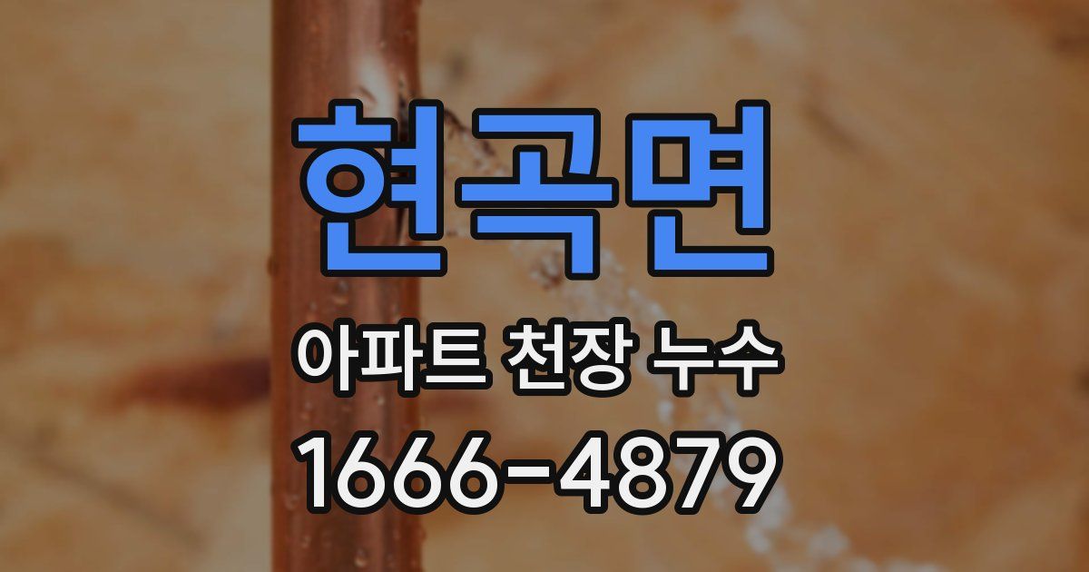 현곡면 아파트 천장 누수