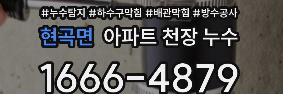 현곡면 아파트 천장 누수