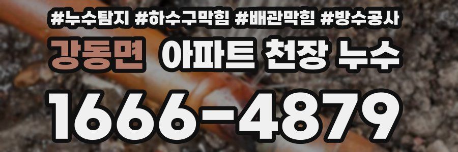 강동면 아파트 천장 누수