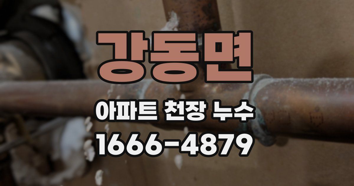강동면 아파트 천장 누수