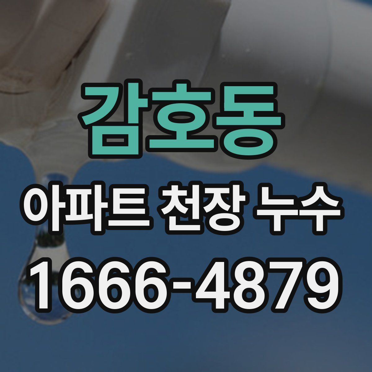 감호동 아파트 천장 누수