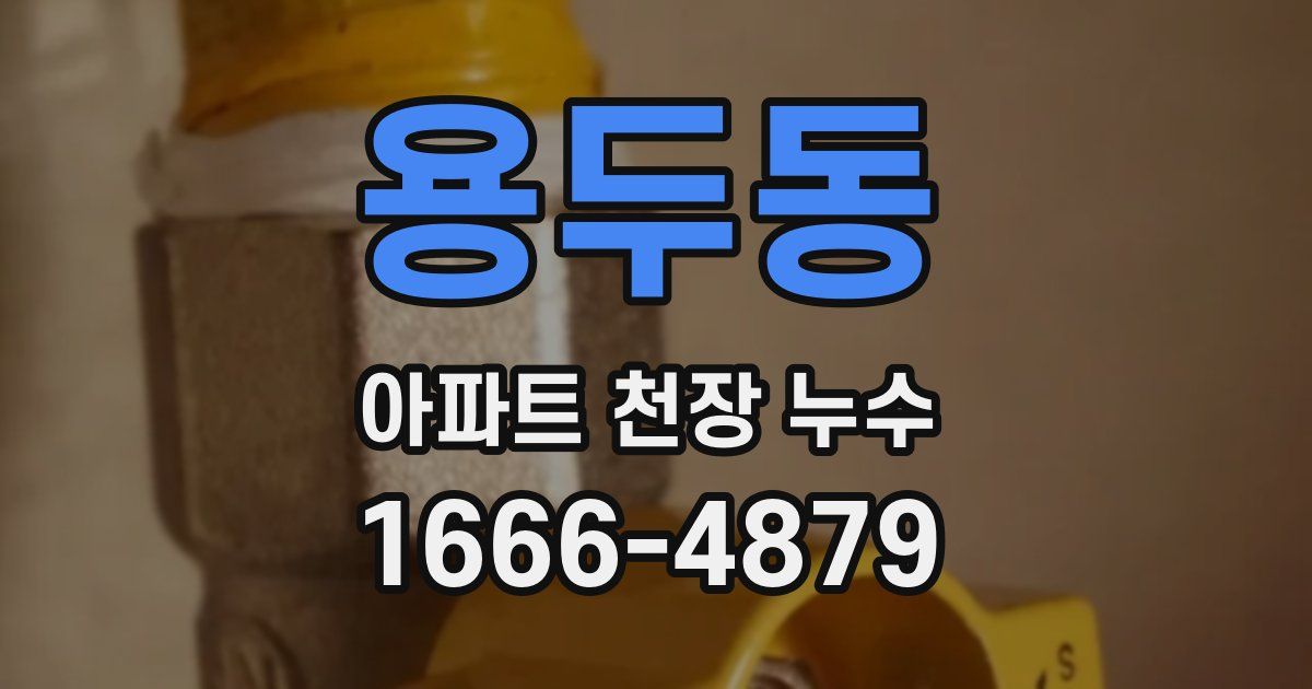 용두동 아파트 천장 누수