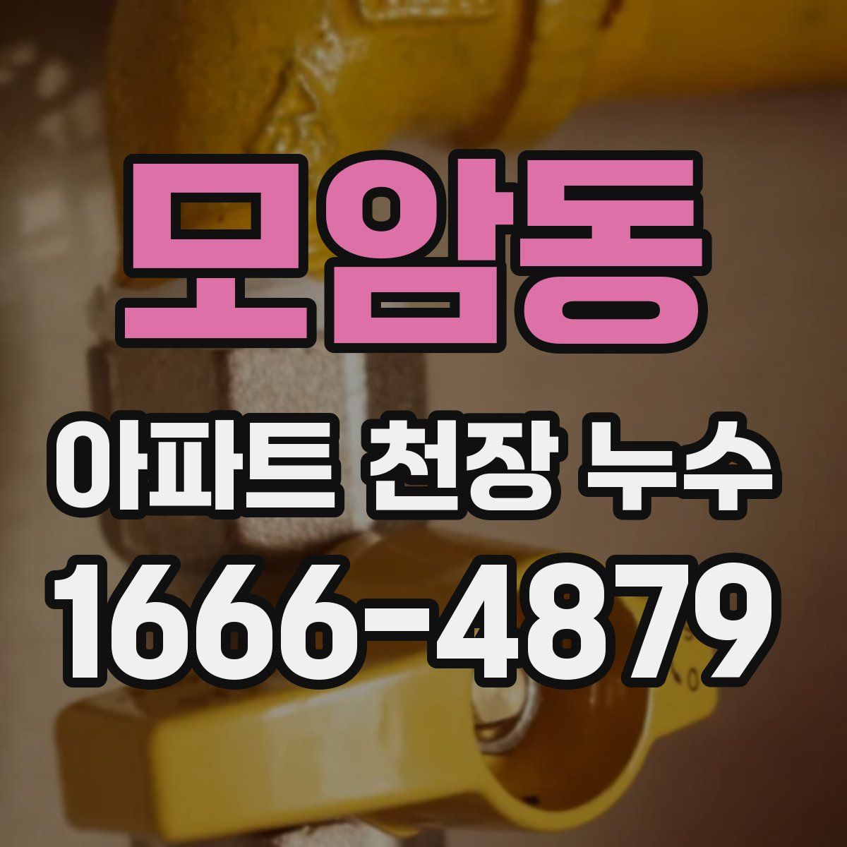 모암동 아파트 천장 누수