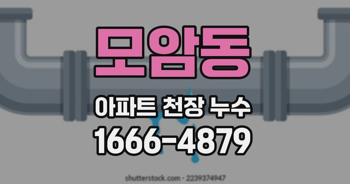 모암동 아파트 천장 누수