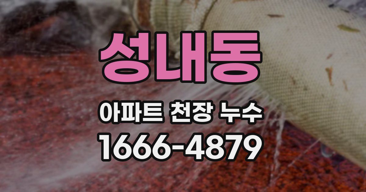 성내동 아파트 천장 누수