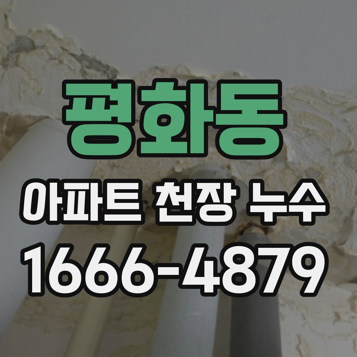 평화동 아파트 천장 누수